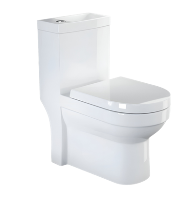 sp-2-in-1-toilet-sink--tap