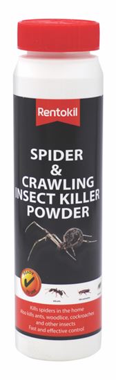 rentokil-spider-crawling-insect-powder