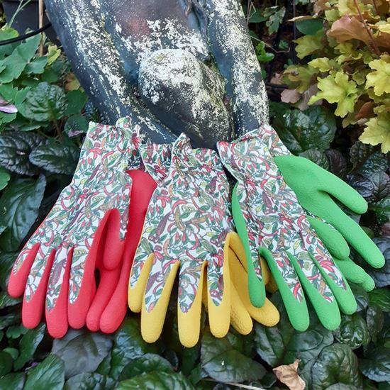 town--country-ladies-chilli-gloves