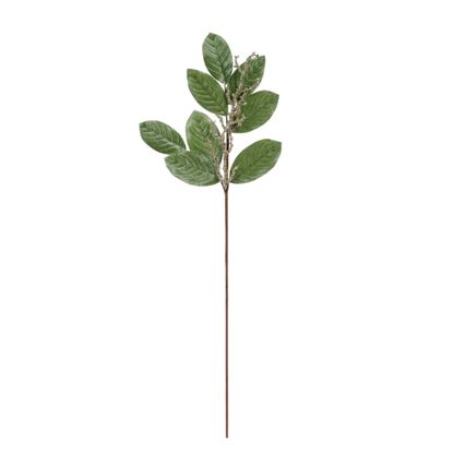 premier-sage-velvet-magnolia-leaf