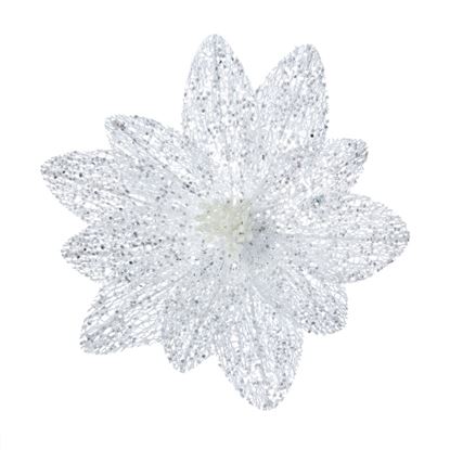 premier-white-sparkle-poinsettia-flower