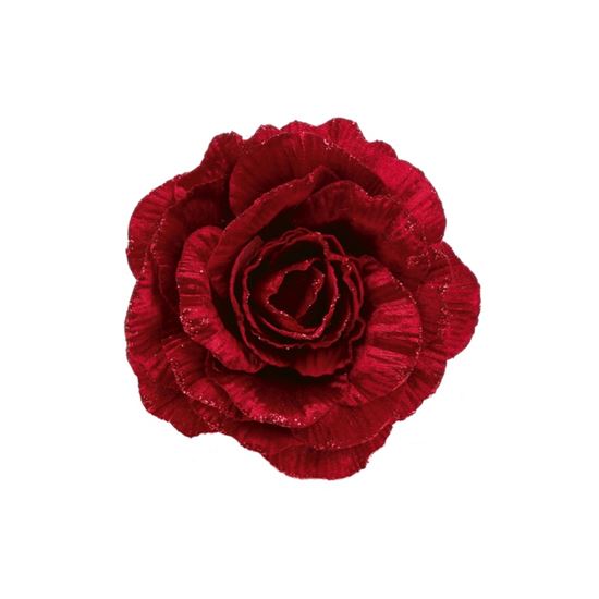 premier-burgundy-velvet-glitter-rose