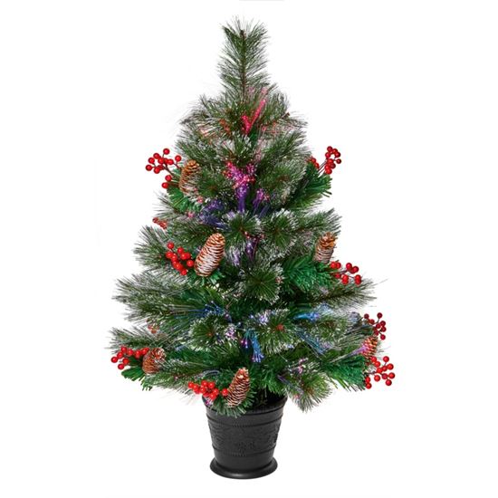 premier-snow-tipped-bottle-brush-tree