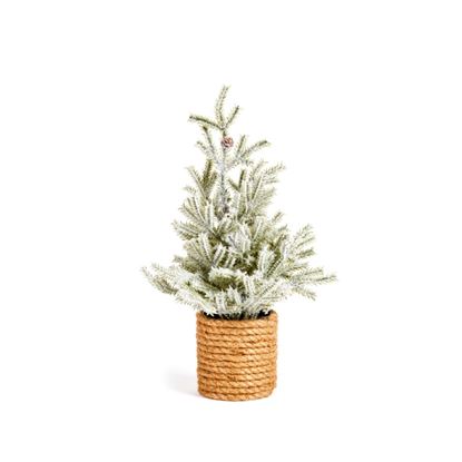 premier-tabletop-velvet-tree