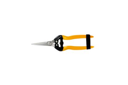 alpen-rigi-300-snips