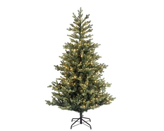 kaemingk-geneva-fir-with-warm-white--multi-leds