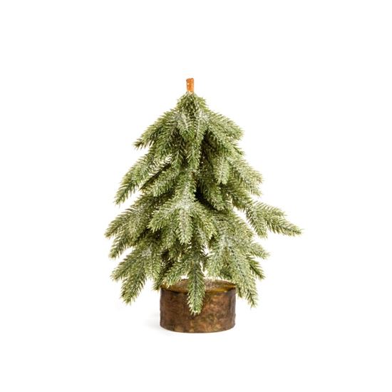 premier-frosted-tree
